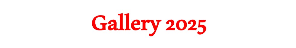 Picture of Alahbri script GALLERY 2025