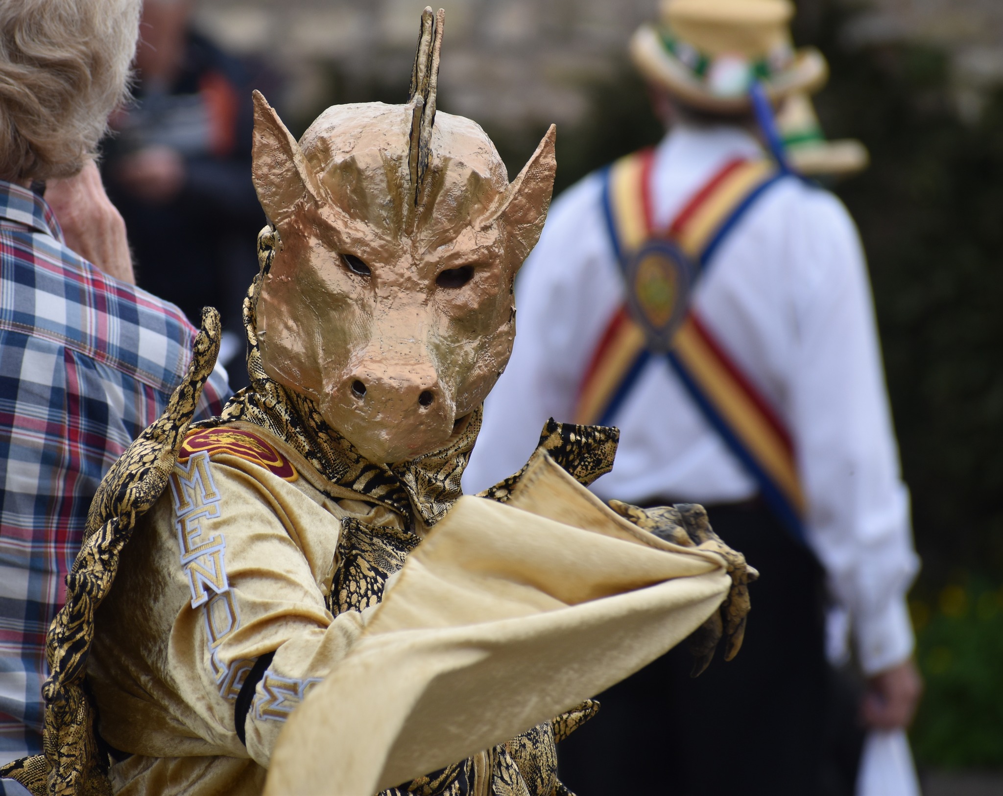 picture of Dragon at Wedmore